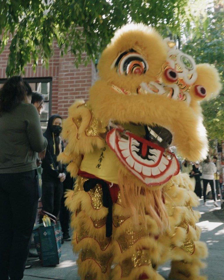 Lion dancers in a gold lion costume perform on a tree-lined sidewalk during Junbi's grand opening as guests look on.